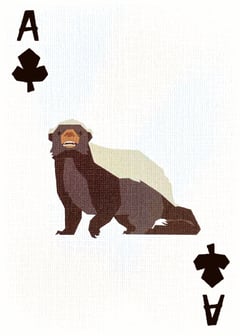 Card Image Preview: 0
