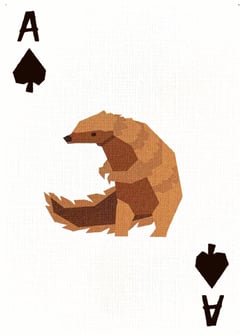 Card Image Preview: 16