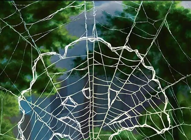 Spider-Man Green Welcome Deck