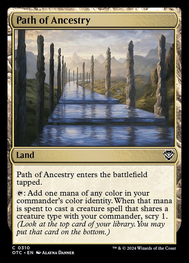 Card Preview