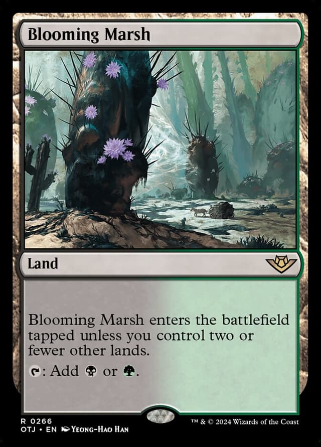 Card Preview