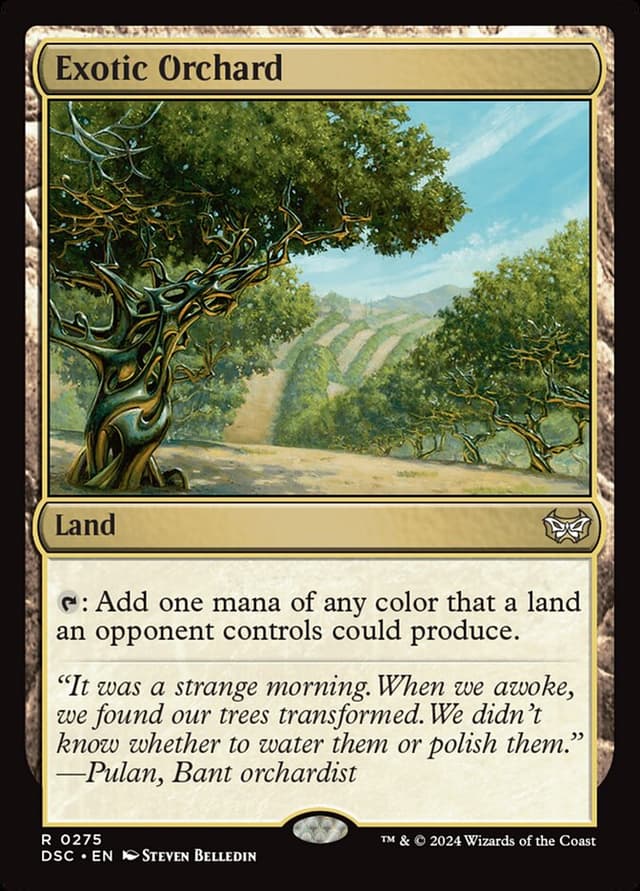Card Preview
