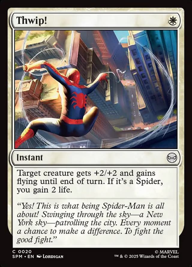 Card Preview