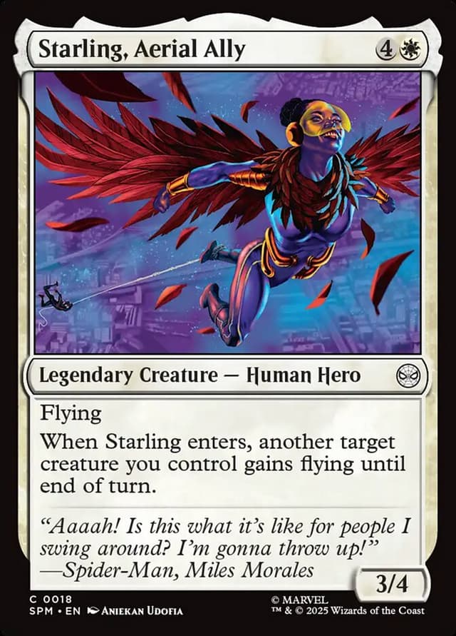 Card Preview