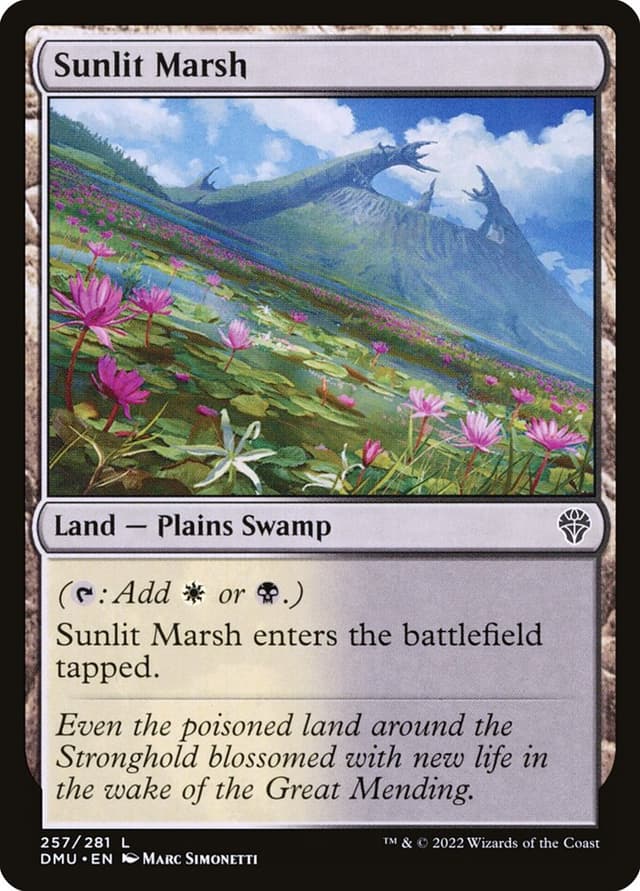 Card Preview