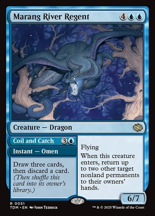 Card Preview