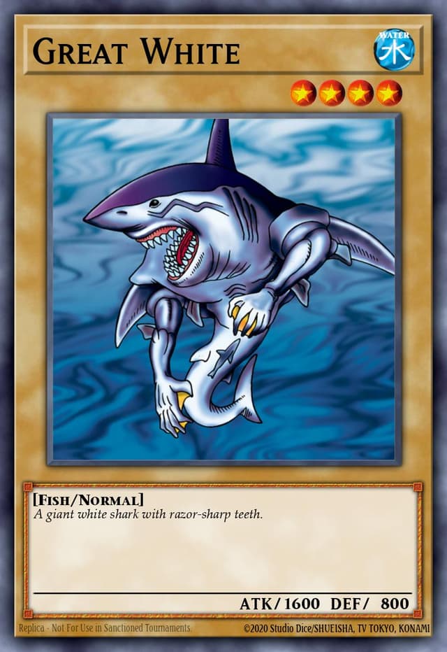 Card Preview